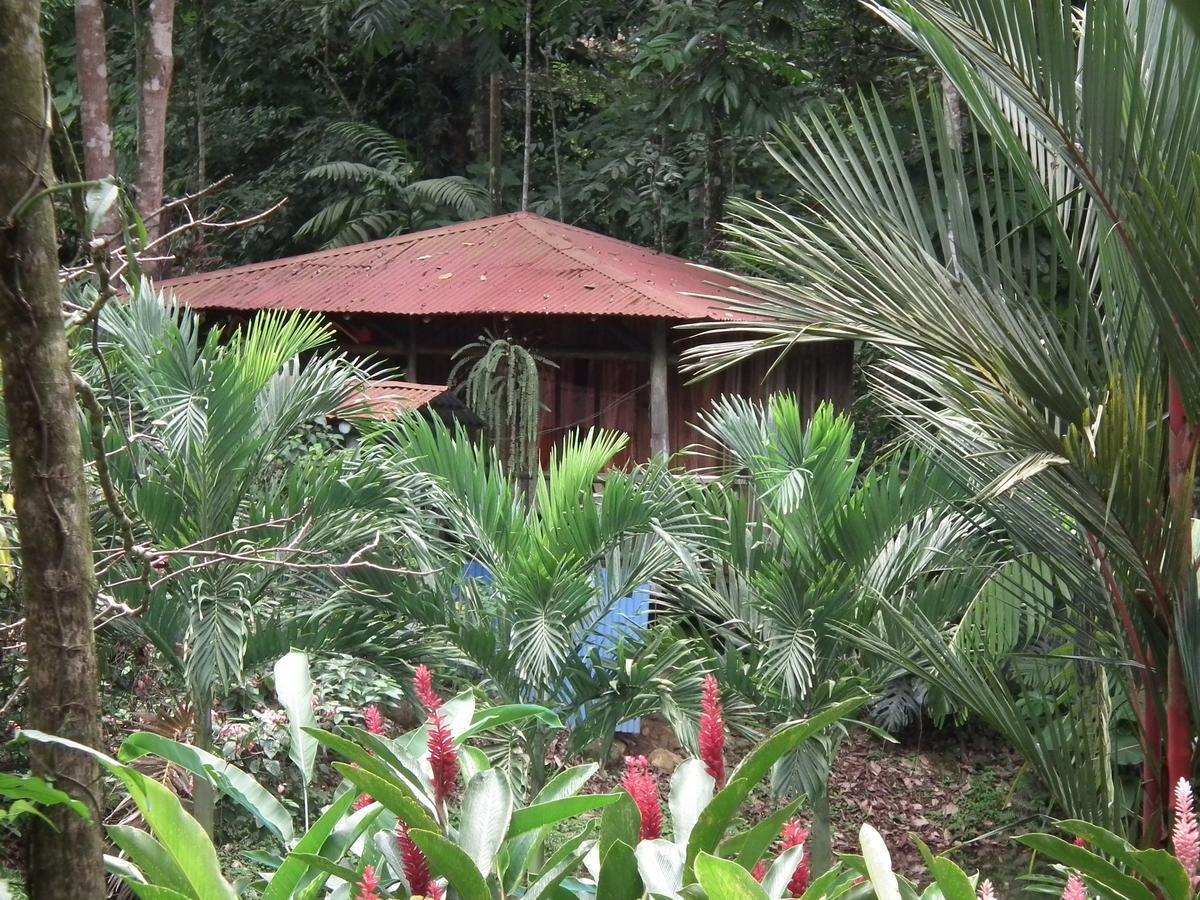 Hotel Valle Azul San Gerardo Стая снимка